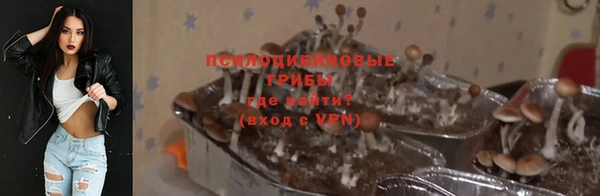 ешки Покачи